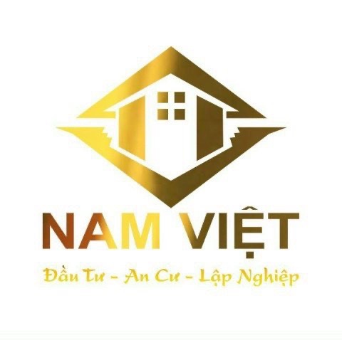 lĩnh vực hoạt động